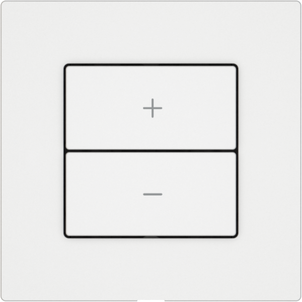 Regolatore DALI EDIZIO.liv Wiser SNAPFIX® 2 tasti WLAN bi 