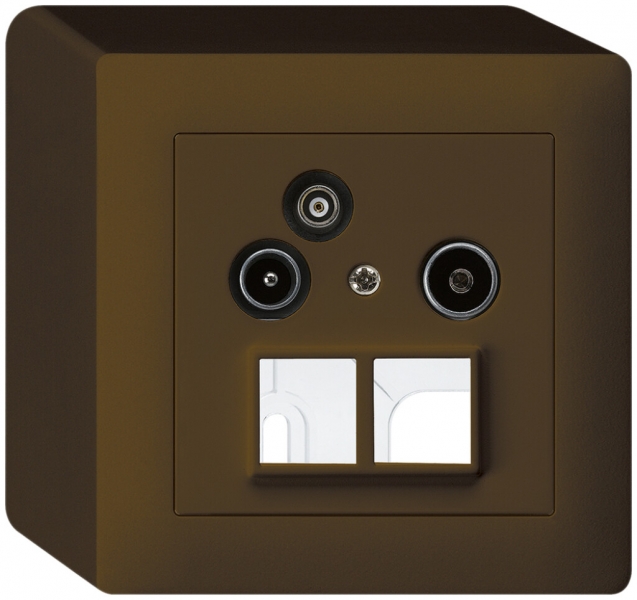 Prise pour antenne AP R/TV-Données kallysto HMS 2GHz 19db brun 