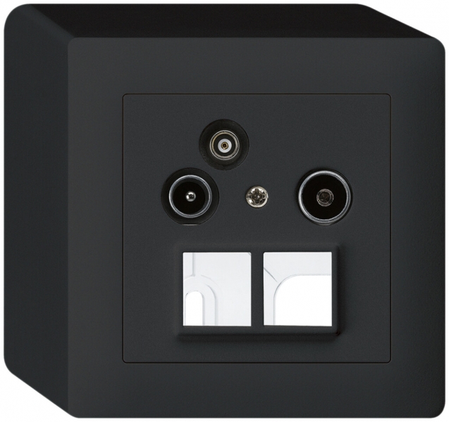 Prise pour antenne AP R/TV-Données kallysto HMS 2GHz 19db noir 