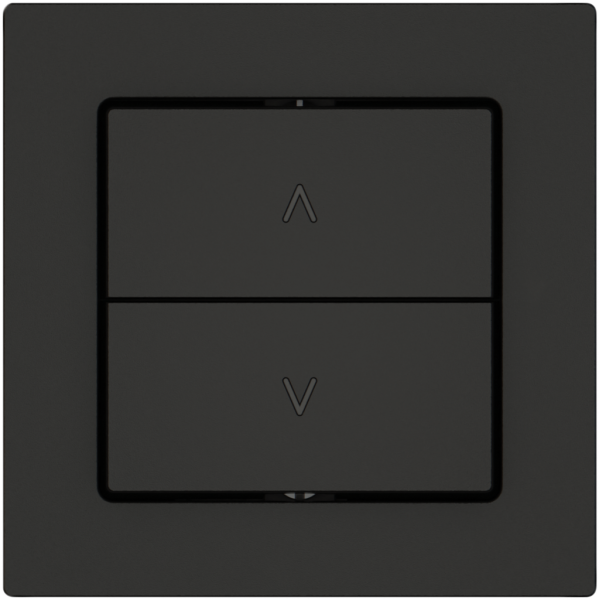 Pulsante per tapparelle EDIZIO.liv SNAPFIX® 10A 250V 2 tasto 1 canale ne 