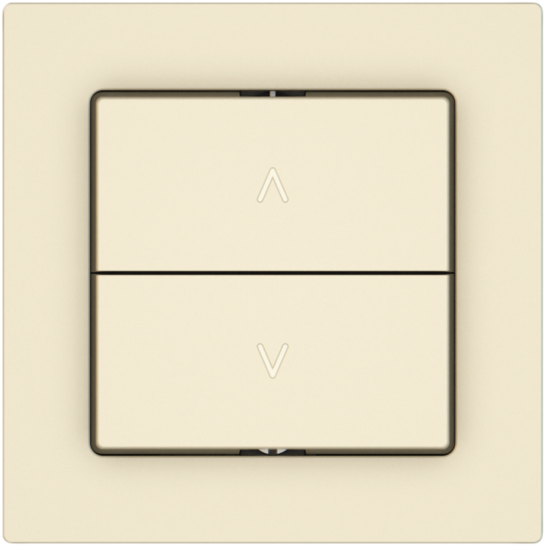 Pulsante per tapparelle EDIZIO.liv SNAPFIX® 10A 250V 2 tasto 1 canale cr 