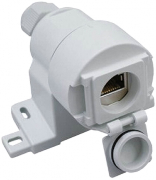 Scatola AP Dätwyler con modulo MS-C6a Cat.6a 