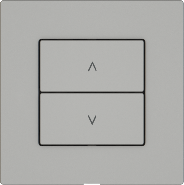 Stazione secondaria tapparelle EDIZIO.liv Wiser SNAPFIX® 2 tasti grc 