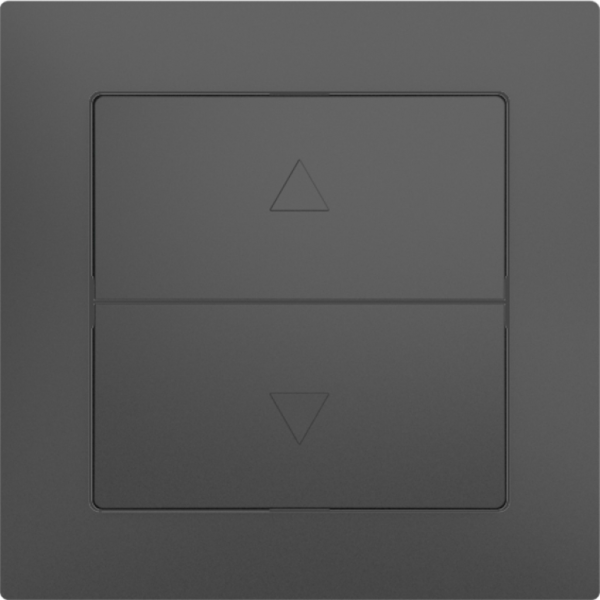 Interrutore per tapparelle Sidus, 1-canale, tipo E, antracite 