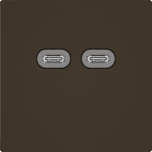 Prise de charge USB EDIZIO.liv SNAPFIX® 230VAC 18W 2×USB C br 