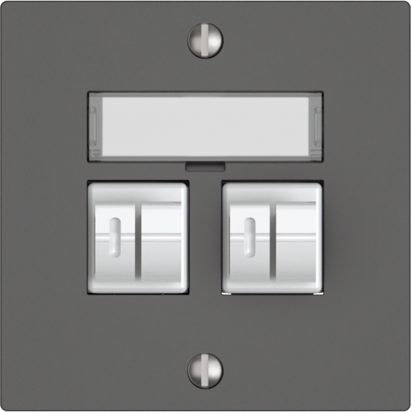 Presa audio EDIZIO.liv SNAPFIX® 2× grs 