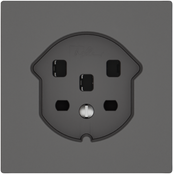 Steckdose EDIZIO.liv SNAPFIX® 1×T25 dgu 