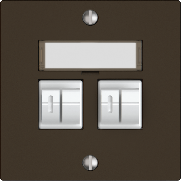 Prise audio EDIZIO.liv SNAPFIX® 2× br 