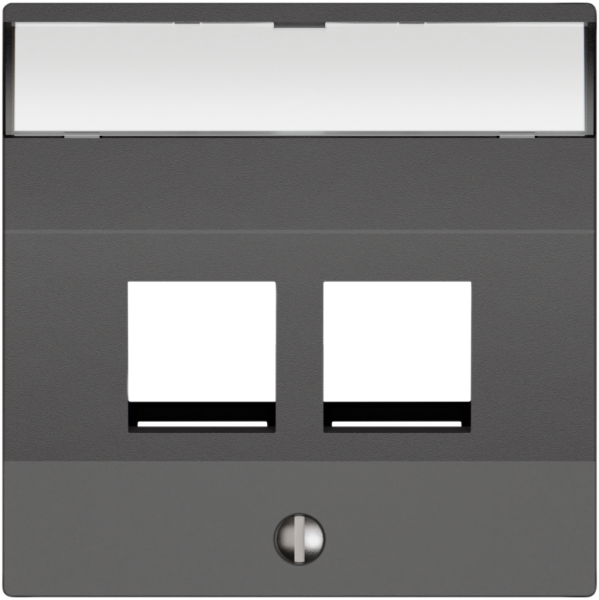 Kit de montage EDIZIO.liv Keystone SNAPFIX® incliné 2× grf 