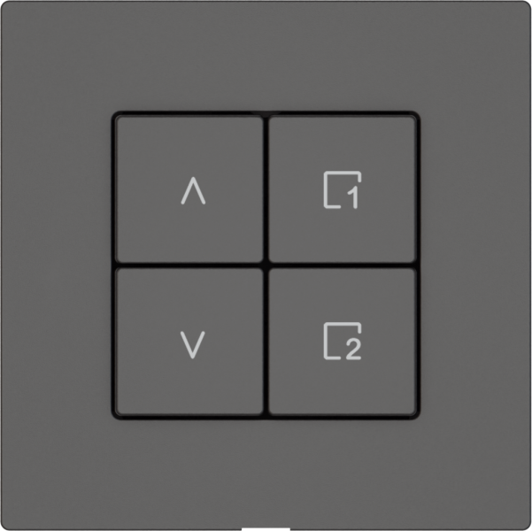 Station sec.stores EDIZIO.liv Wiser SNAPFIX® 1 scène 4 touches WLAN grf 