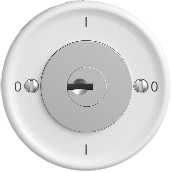 Interrupteur rotatif STANDARDdue 0/1L blanc, avec serrure de sûreté 