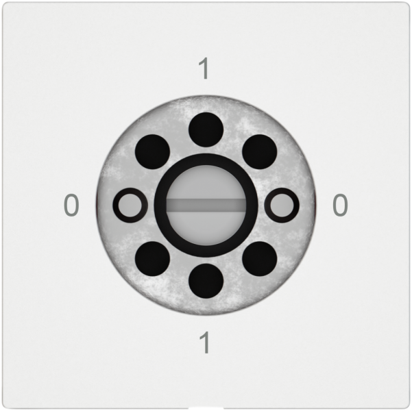 Interruttore rotativo EDIZIO.liv SNAPFIX® interruttore 0/1L s.cilindro bi 