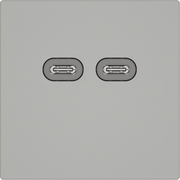 Presa di ricarica USB EDIZIO.liv SNAPFIX® 230VAC 18W 2×USB C grc 