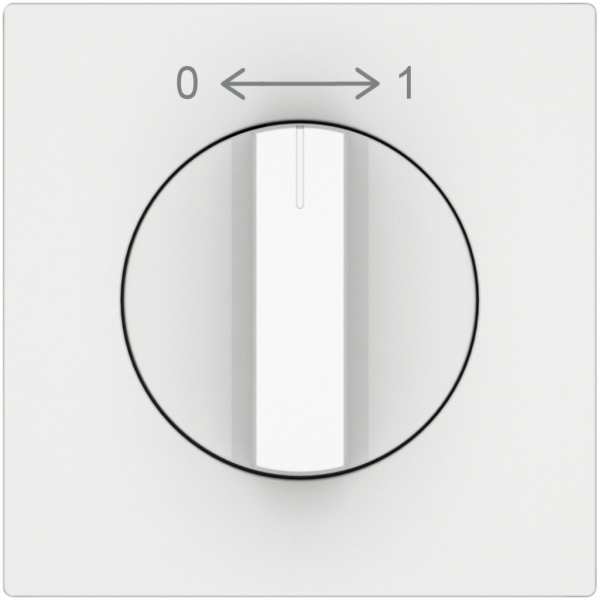 Schwenktaster EDIZIO.liv SNAPFIX® 0<->1/1P mit Drehgriff ws 