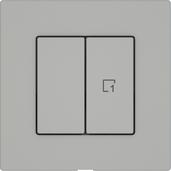 Interrupteur à poussoir EDIZIO.liv Wiser SNAPFIX® 1 scène 2 touches WLAN grc 