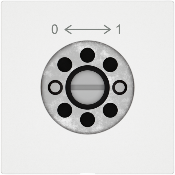 Schwenktaster EDIZIO.liv SNAPFIX® 0<->1/1P für Schloss ohne Zylinder ws 