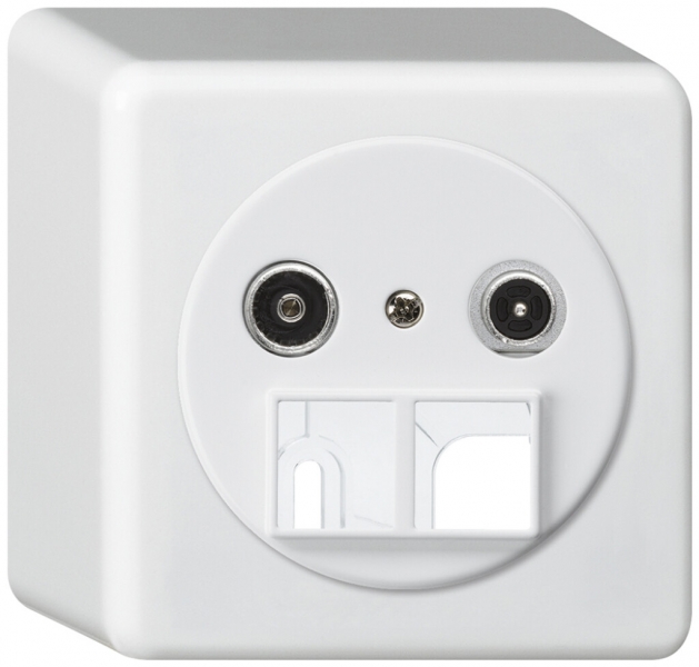 Presa multimedia AP basico TV-R 23dB 2GHz bianco 