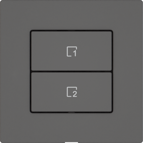 Pulsante scene EDIZIO.liv Wiser SNAPFIX® 2 scene 2 tasti grs 