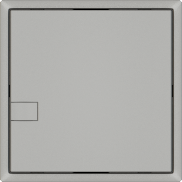 Pulsante universale EDIZIO.liv UNI SNAPFIX® 12…48V s.LED 1× com.1T grc 