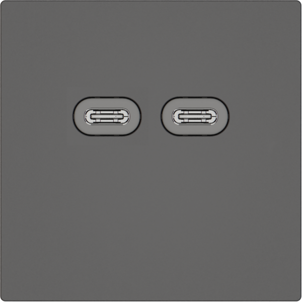 Presa di ricarica USB EDIZIO.liv SNAPFIX® 230VAC 18W 2×USB C grs 