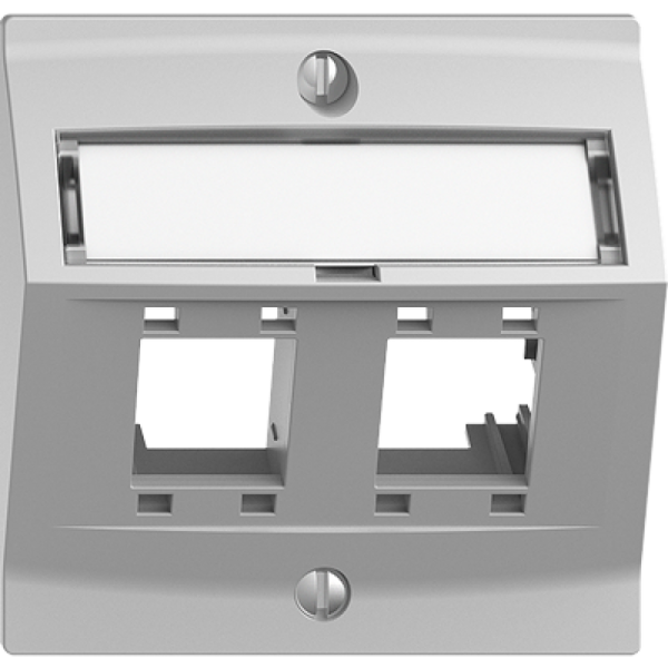 Montageset EDIZIOdue, mit Schrägauslasshaube, für 2×RJ45, hellgrau 