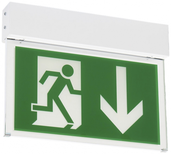 Notleuchte CLED 12 N-230VAC/DC 303×235×44mm 