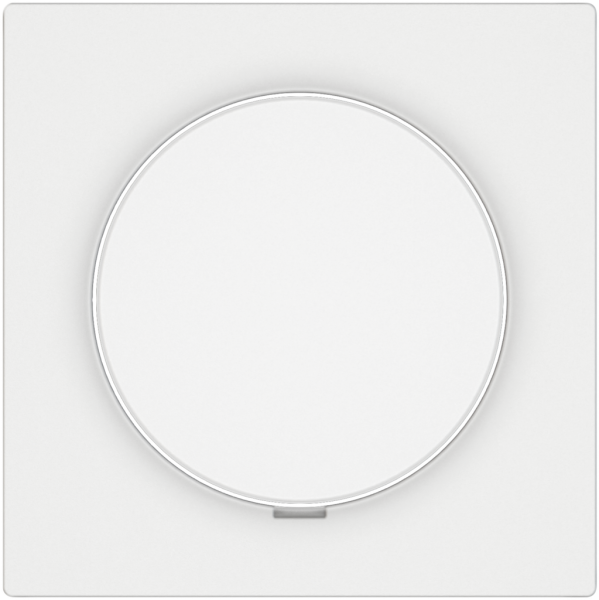 Regolatore EDIZIO.liv SNAPFIX® lum rottura d.fase basso 20…300W/20…300VA bi 