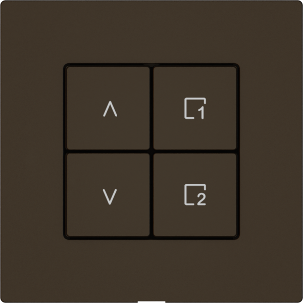 Stazione secondaria tapparelle EDIZIO.liv Wiser SNAPFIX® 1 scena 4 tasti ma 