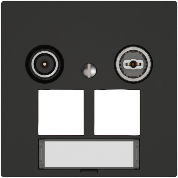 Presa multimedia TV-R EDIZIO.liv SNAPFIX® EASYNET p.2×RJ45 S-One 4dB ne 