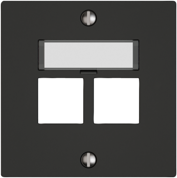 Kit di montaggio EDIZIO.liv EASYNET S-One SNAPFIX® destra per 2×RJ45 ne 