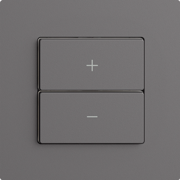 Dimmer Uni-LED 1K/2T Edue Wiser grigio scuro 