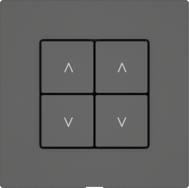 Interrupteur stores EDIZIO.liv Wiser SNAPFIX® 2 canaux 4 touches grf 