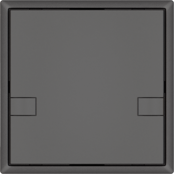 Pulsante universale EDIZIO.liv UNI SNAPFIX® 12…48V s.LED 1× com.2T grs 