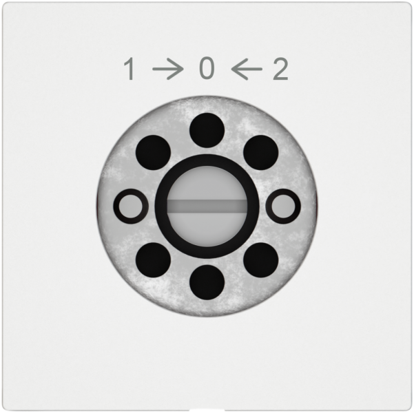 Contact pivotant EDIZIO.liv SNAPFIX® 1->0<-2/1P sans cylindre bc 
