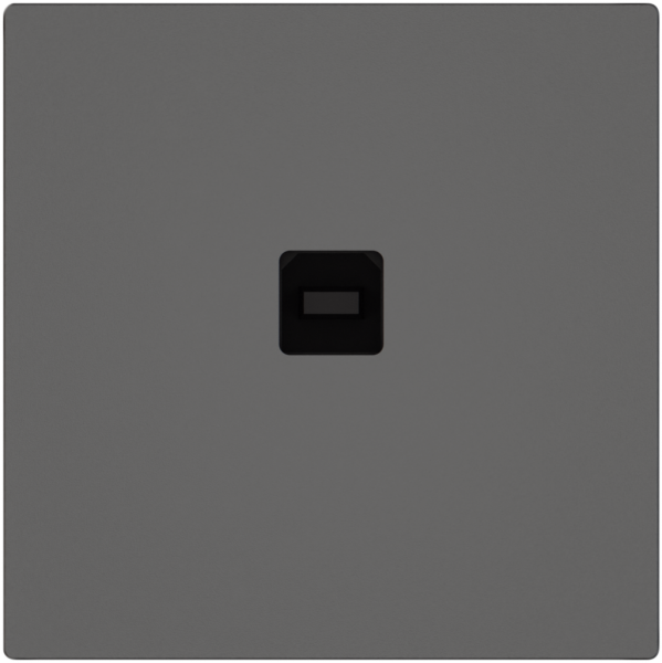 Interfaccia dati USB KNX EDIZIO.liv SNAPFIX® presa USB tipo B grs 