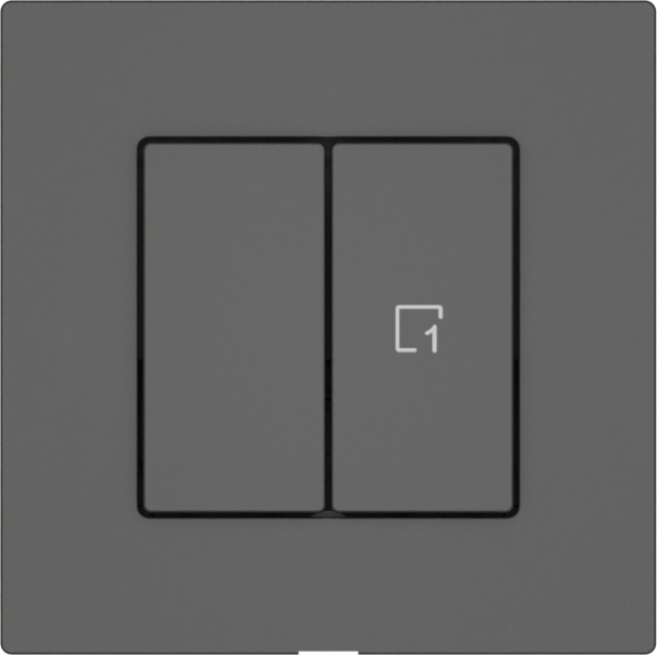 Interrupteur à poussoir EDIZIO.liv Wiser SNAPFIX® 1 scène 2 touches WLAN grf 