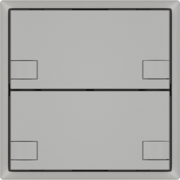 Pulsante universale EDIZIO.liv UNI SNAPFIX® 12…48V s.LED 2× com.2T grc 