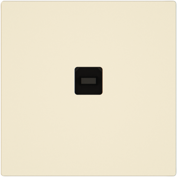 USB-Datenschnittstelle KNX EDIZIO.liv SNAPFIX® USB-Buchse Typ B cr 