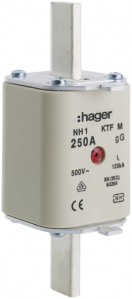 Fusible HPC Hager DIN1c 500VAC 40A gG/gL avertisseur double antirouille 
