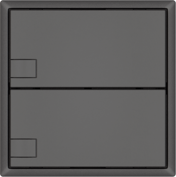 Pulsante universale EDIZIO.liv UNI SNAPFIX® 5…48V s.LED 2× com.1T grs 