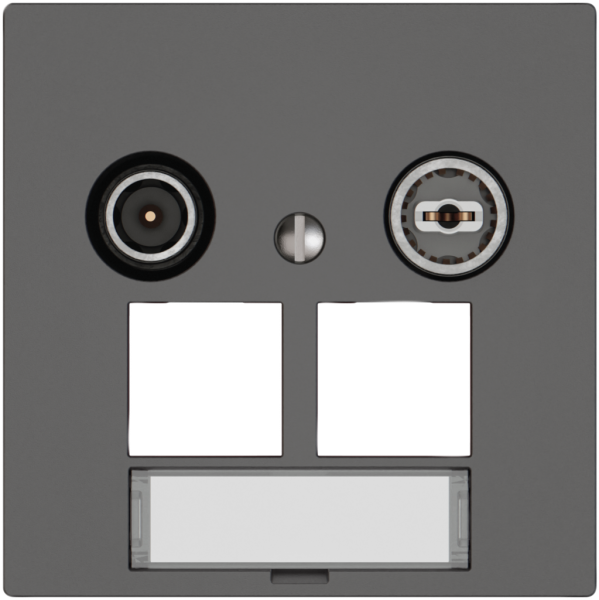 Presa multimedia TV-R EDIZIO.liv SNAPFIX® EASYNET p.2×RJ45 S-One 4dB grs 