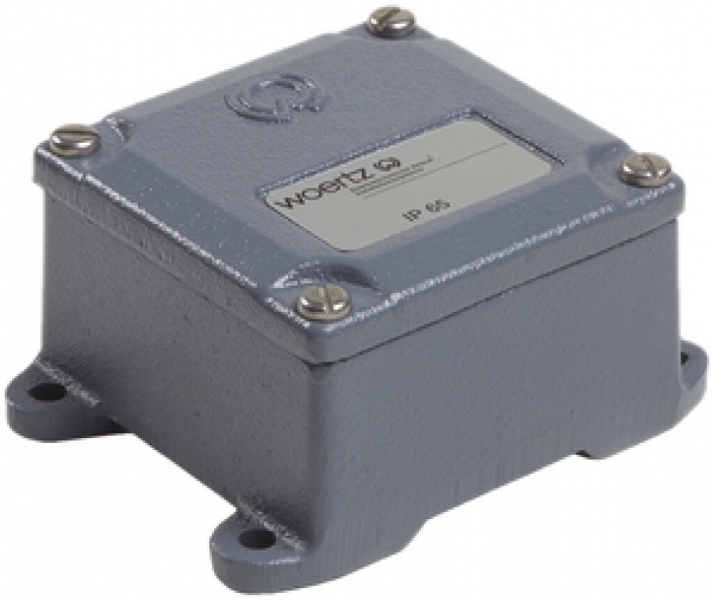 Scatola di derivazione ghisa Woertz 0 senza entrata grigio 