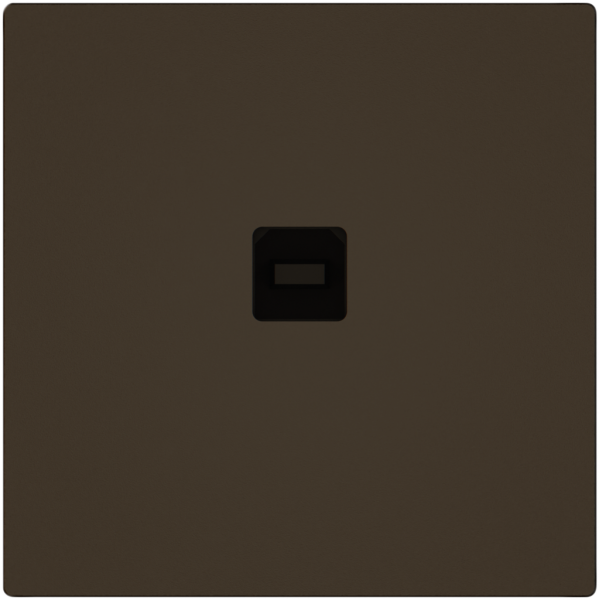 Interface de données USB KNX EDIZIO.liv SNAPFIX® prise USB type B br 