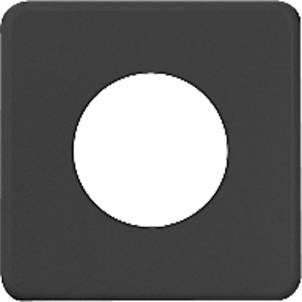 Placca di copertura I 43mm nero 1×43mm nero 