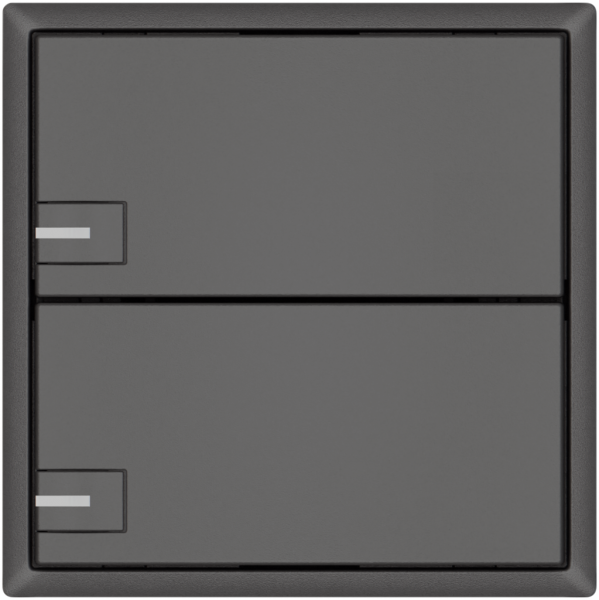 KNX-Taster RGB EDIZIO.liv SNAPFIX® Temperaturfüh.RGB-LED 2×T 1-Tbed.dgu 