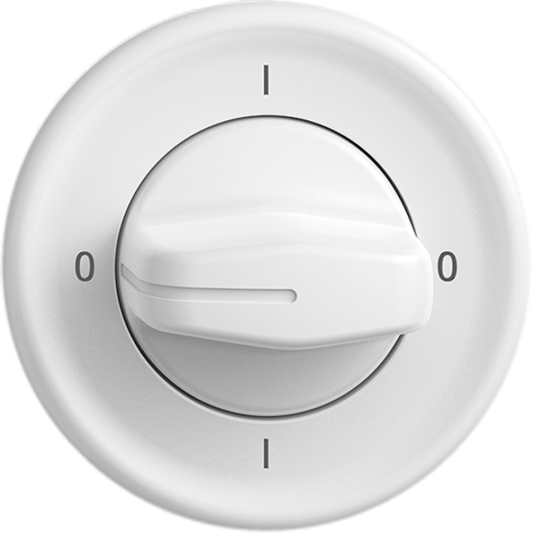 Drehschalter STANDARDdue SNAPFIX® Drehgriff Ausschalter 0/4L ws 