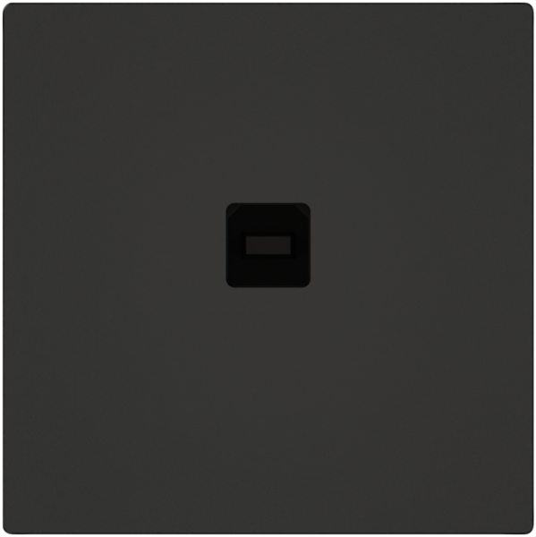 Interfaccia dati USB KNX EDIZIO.liv SNAPFIX® presa USB tipo B ne 