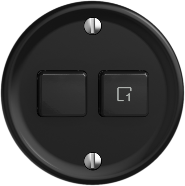 Station sec.interr.STANDARDdue Wiser SNAPFIX® 1 scène 2 touches WLAN no 