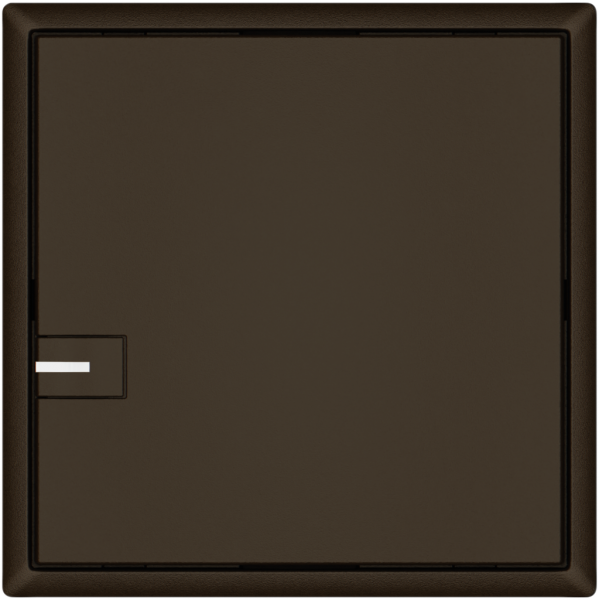 Poussoir KNX RGB EDIZIO.liv SNAPFIX® capteur temp.RGB-LED 1× comm.1T br 