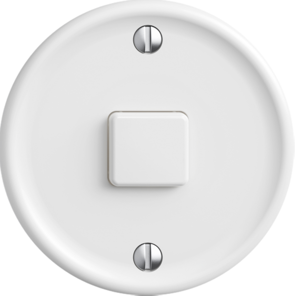 Station sec.interr.STANDARDdue Wiser SNAPFIX® 1 canal 1 touche WLAN bc 